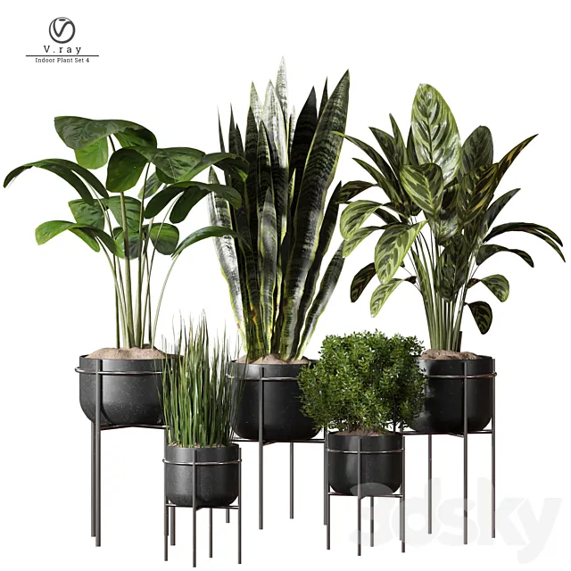 indoor Plant 4 3ds Max