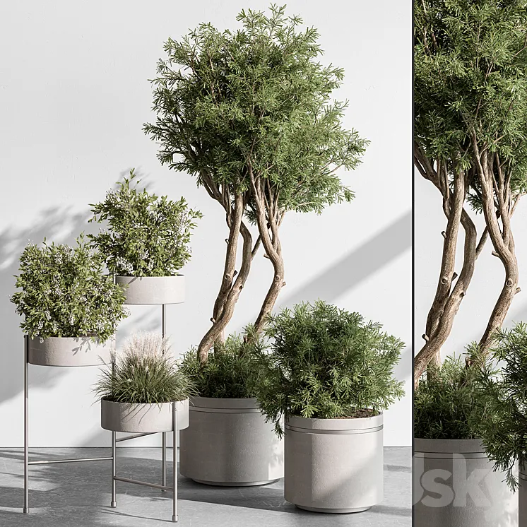 indoor Plant 433 – Tree and Bush 3DS Max Model