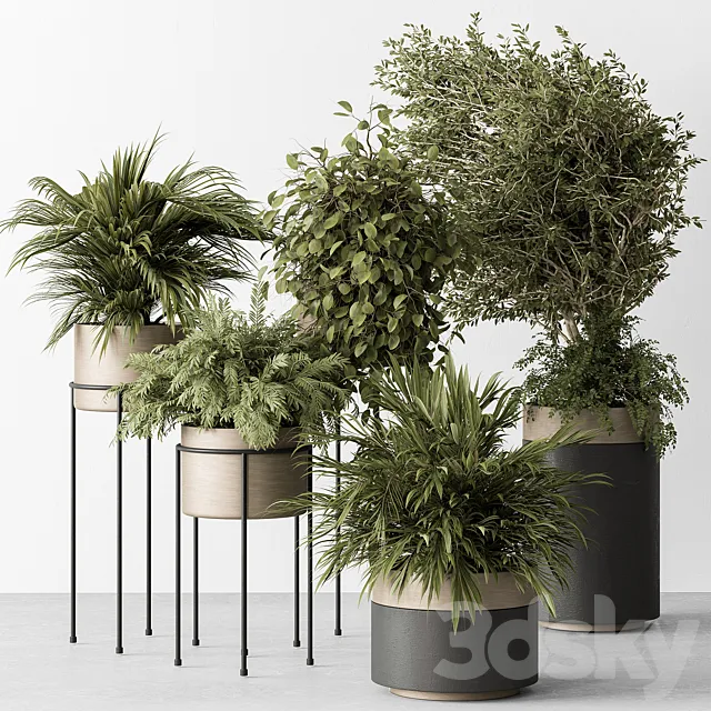 indoor Plant 442 – Tree and Bush 3DSMax File