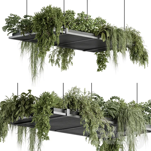 indoor Plant 443 – Hanging Plants 3DS Max Model