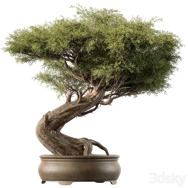 indoor Plant 452 – Bonsai Plant 3dsMax Model