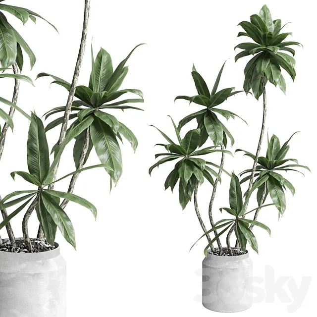 Indoor plant 460 concrete dirt vase plant fiucs tree pot 3DS Max Model