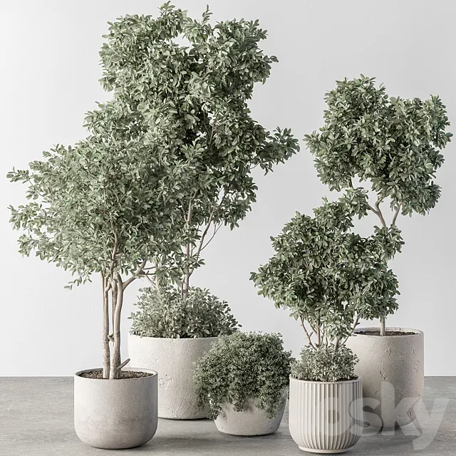 Indoor Plant 634 -Tree in Pot 3ds Max