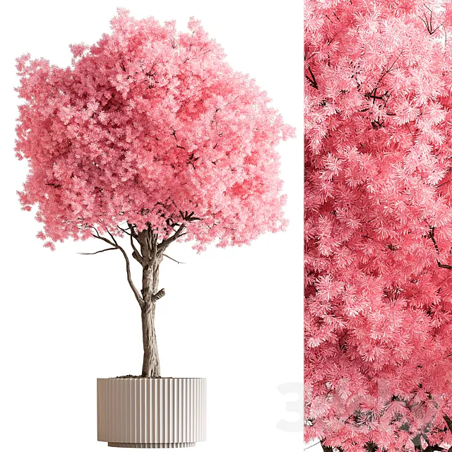 Indoor Plant 657 – Pink Tree 3ds Max