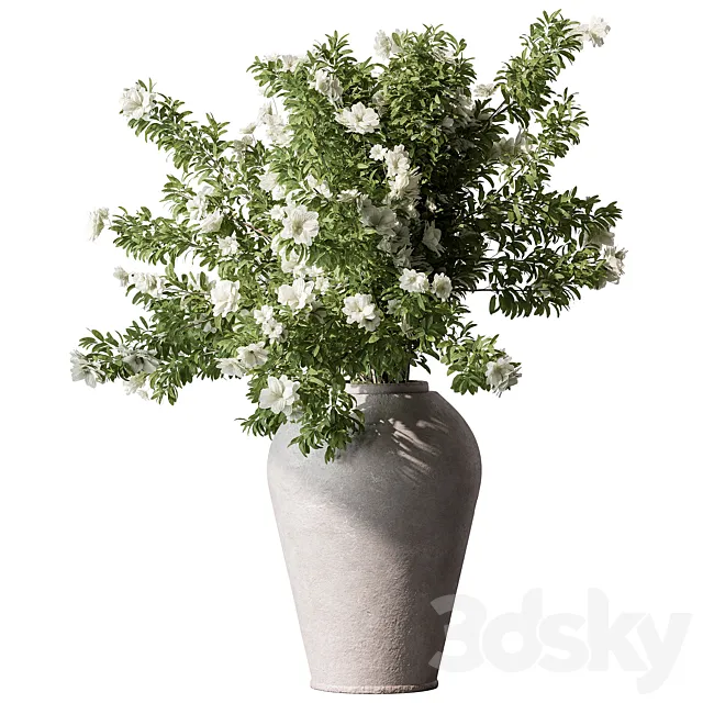 Indoor Plant 737 – Flower Bush 3ds Max