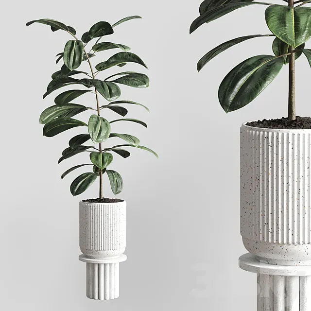 Indoor plant 79 pot plant concrete vase 3DSMax File