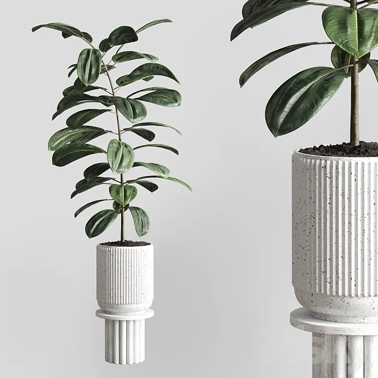 Indoor plant 79 pot plant concrete vase 3DS Max Model