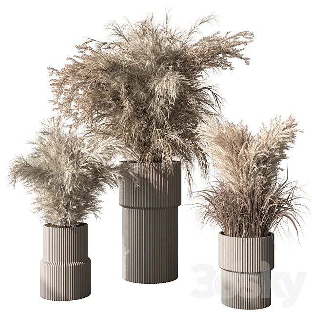 Indoor Plant 827 – Dry Plants 3dsMax Model