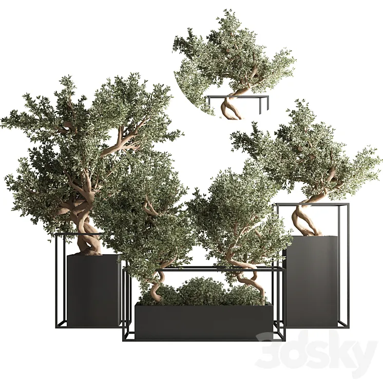 indoor plant bonsai set 24 3DS Max