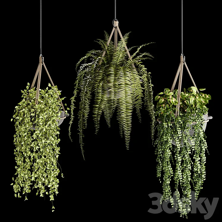 Indoor plant collection 02 3DS Max