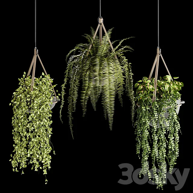 Indoor plant collection 02 3DSMax File