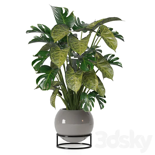 Indoor Plant Collection 97 3dsMax Model