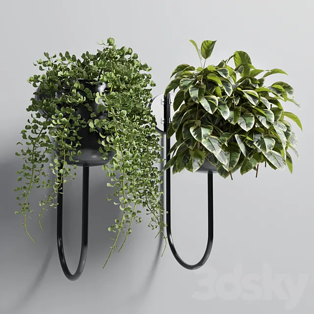 Indoor plant plant wall metal vase 01 3DS Max Model