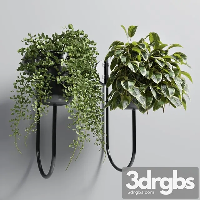 Indoor plant plant wall metal vase 01