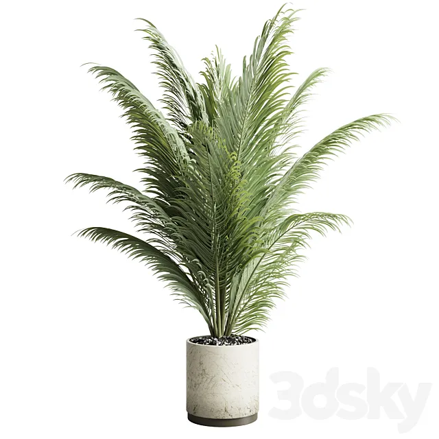 indoor plant pot palm concrete dirt vase 220 3DSMax File