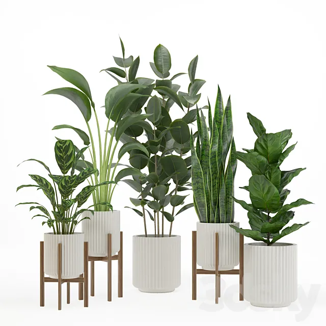 indoor plant set 003 3DS Max Model