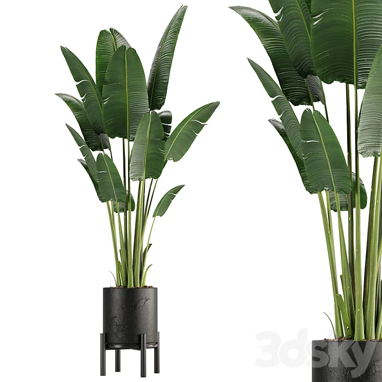 indoor plant set 01 3DS Max