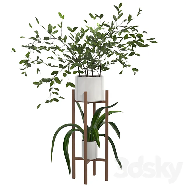 indoor plant Set 02 3dsMax Model