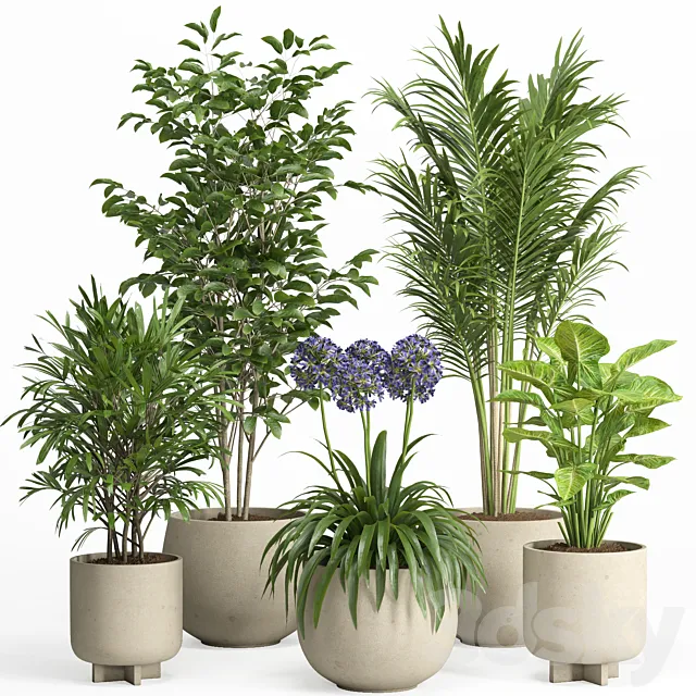 indoor plant set 026 3ds Max