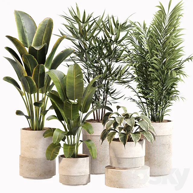 Indoor Plant Set 031 3ds Max