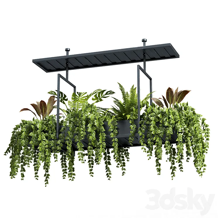 Indoor plant set 05-Hanging plants 3DS Max Model