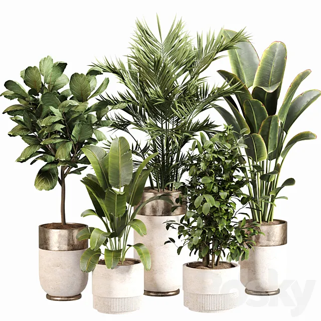 Indoor Plant Set 052 3ds Max