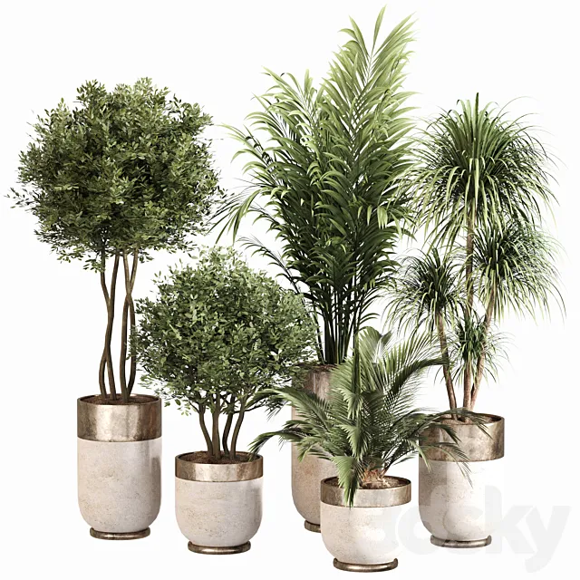 Indoor Plant Set 053 3ds Max