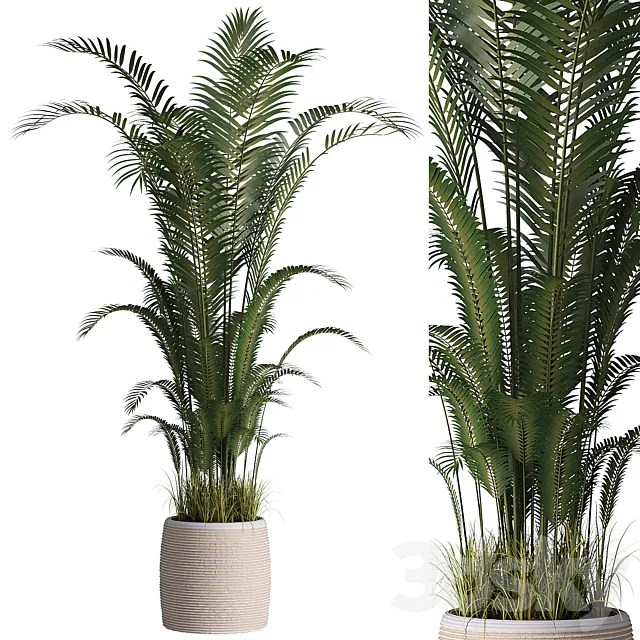 Indoor plant set 07 3ds Max