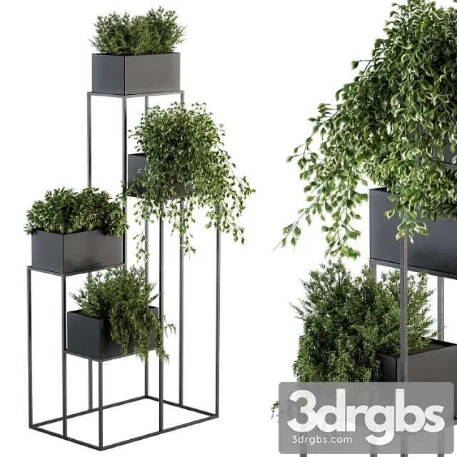 Indoor plant set 100 – black stand