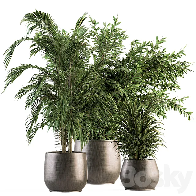 indoor Plant Set 112 – Tropical Plants 3DS Max Model