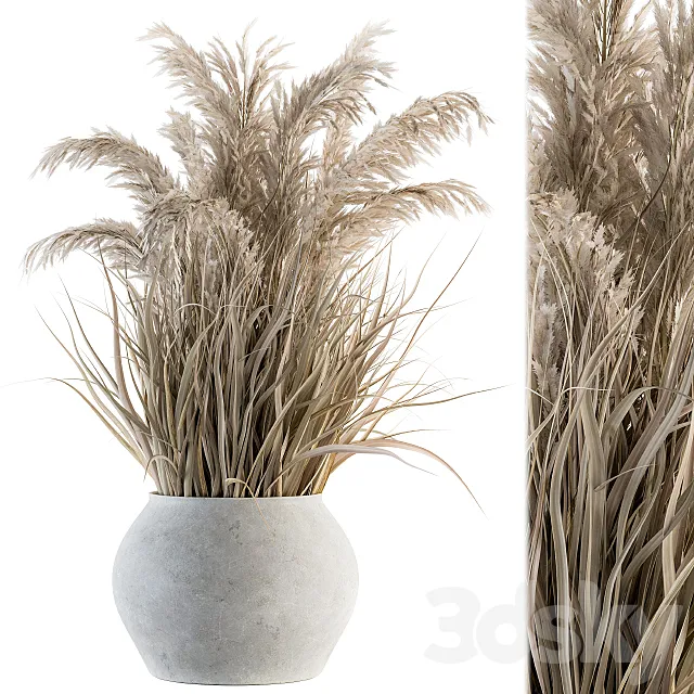 indoor Plant Set 115 – Dried Plant 3DS Max Model