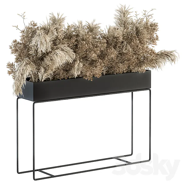 indoor Plant Set 117 – Dried Plant box 3ds Max