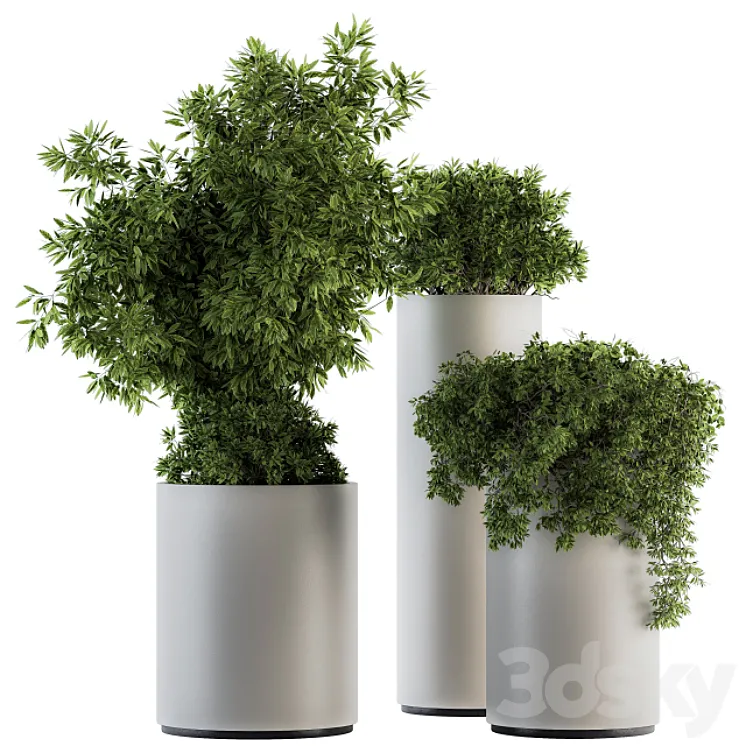 indoor Plant Set 120 – Green and White Set 3DS Max