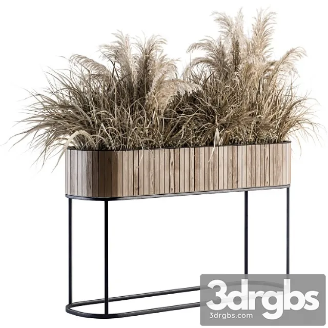 Indoor plant set 122- dried plants in wood stand