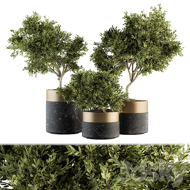 indoor Plant Set 127 – Plant in Pot 3ds Max