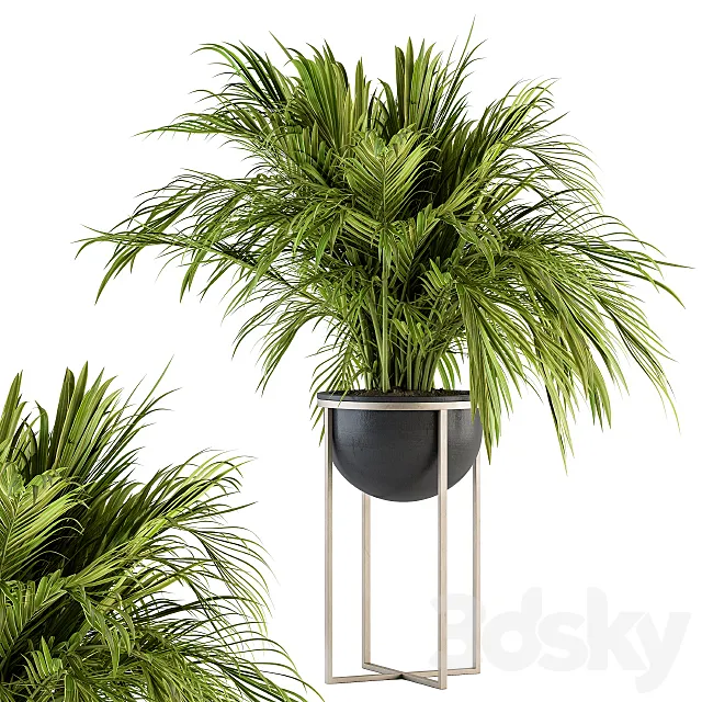 indoor Plant Set 158 – Tropical Plant 3DS Max Model