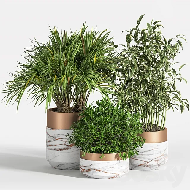 Indoor Plant Set 16 3DS Max Model