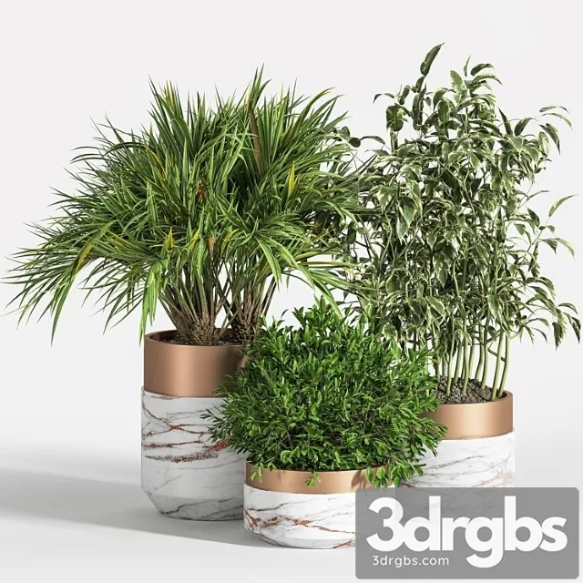 Indoor plant set 16