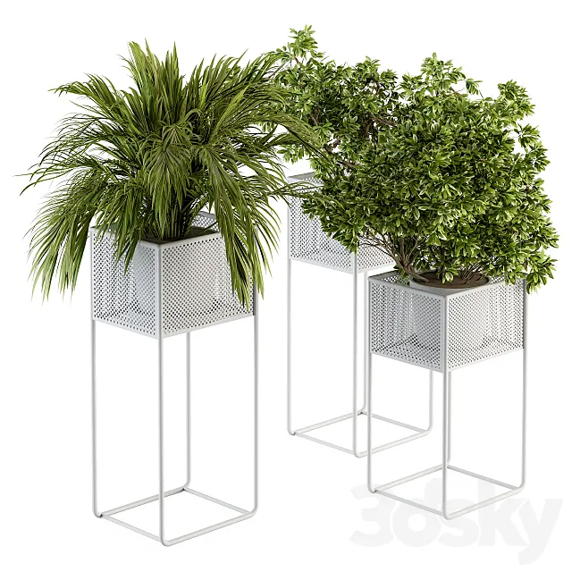 indoor Plant Set 174 – Plant in stand box 3DSMax File