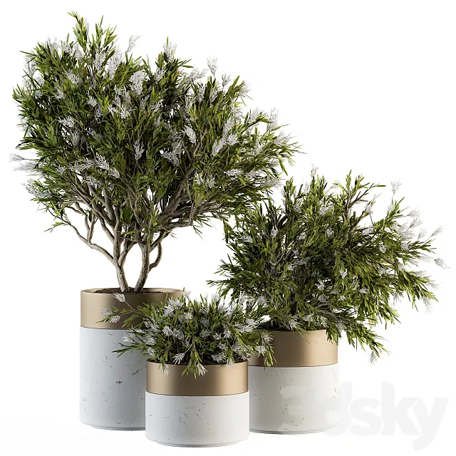 indoor Plant Set 181 – Flower Tree 3ds Max