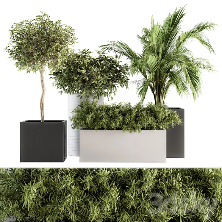 indoor Plant Set 188 – Plant Boxes 3DS Max