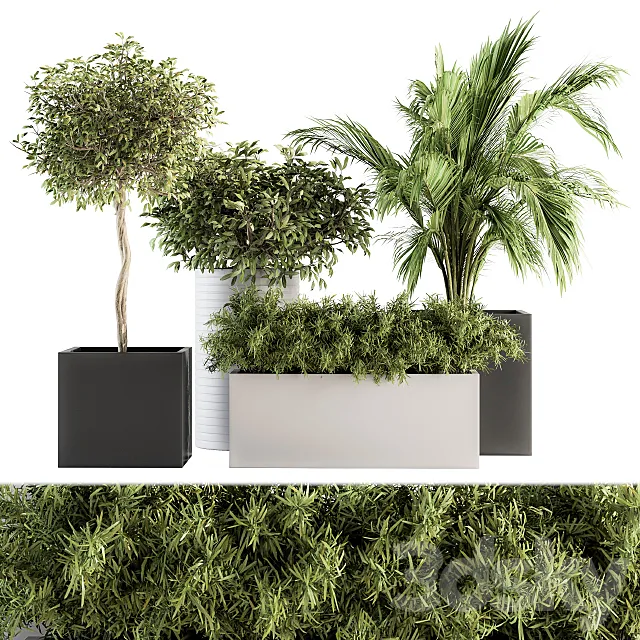 indoor Plant Set 188 – Plant Boxes 3DSMax File
