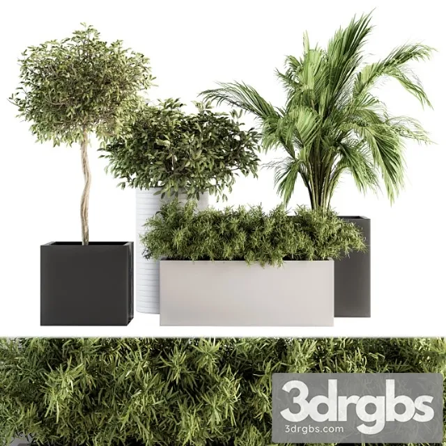 Indoor plant set 188 – plant boxes