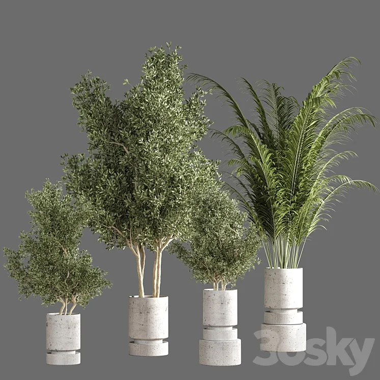 indoor plant set 19 3DS Max Model