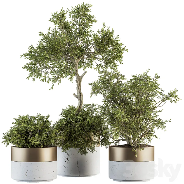 indoor Plant Set 200 – Tree in pot 3DS Max