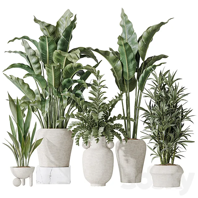 Indoor plant set 21 3ds Max