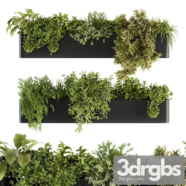 Indoor plant set 210 – hanging plants