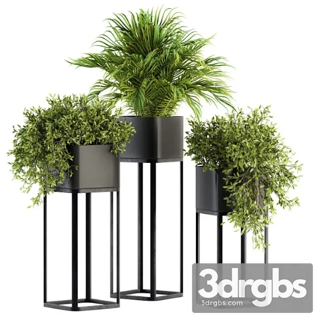 Indoor plant set 211 – plant box stand