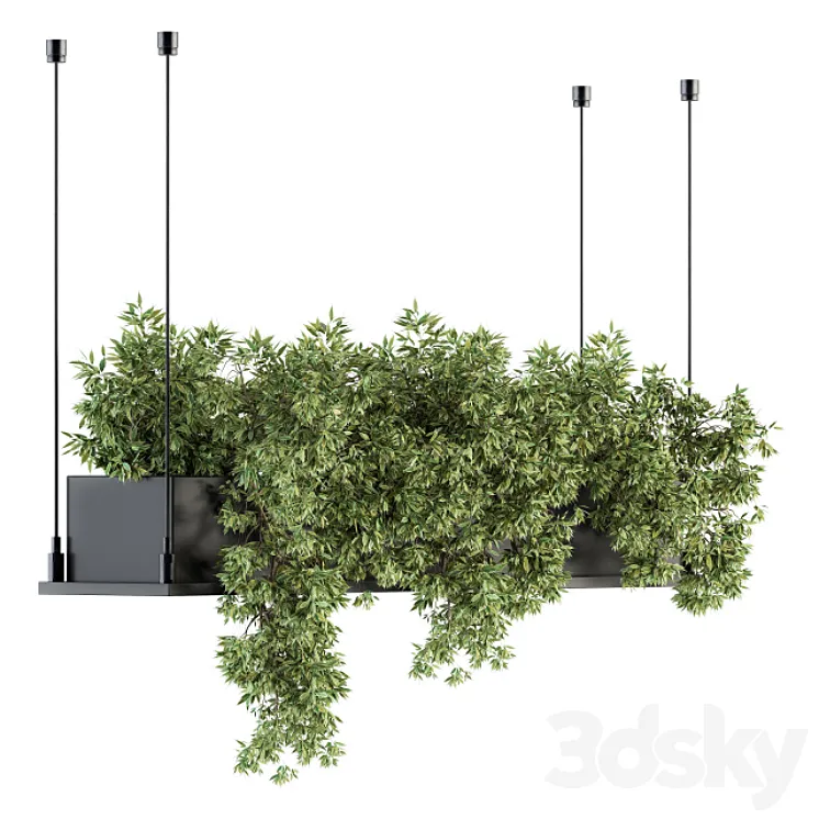 indoor Plant Set 217 – Hanging Plant Box 3DS Max