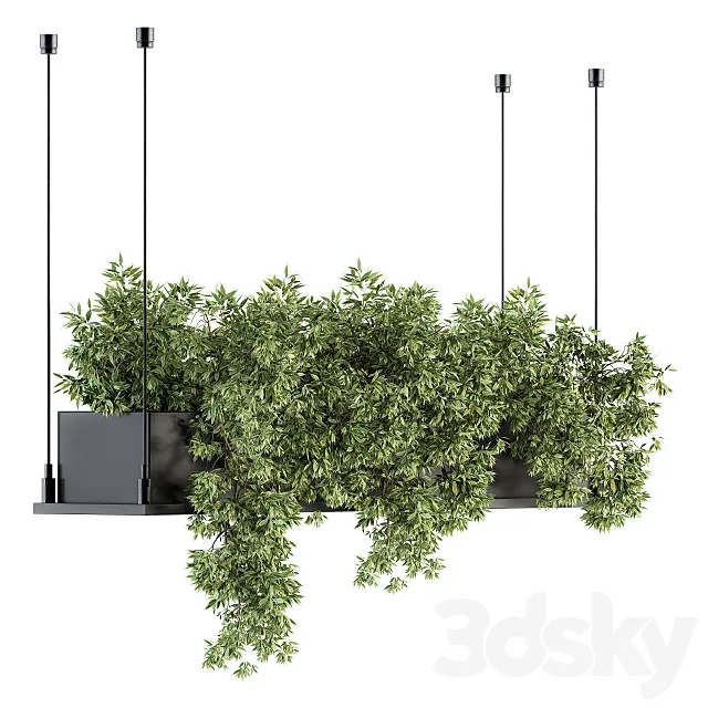 indoor Plant Set 217 – Hanging Plant Box 3DSMax File
